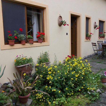 Casa Lia Hotel Sighişoara Eksteriør billede