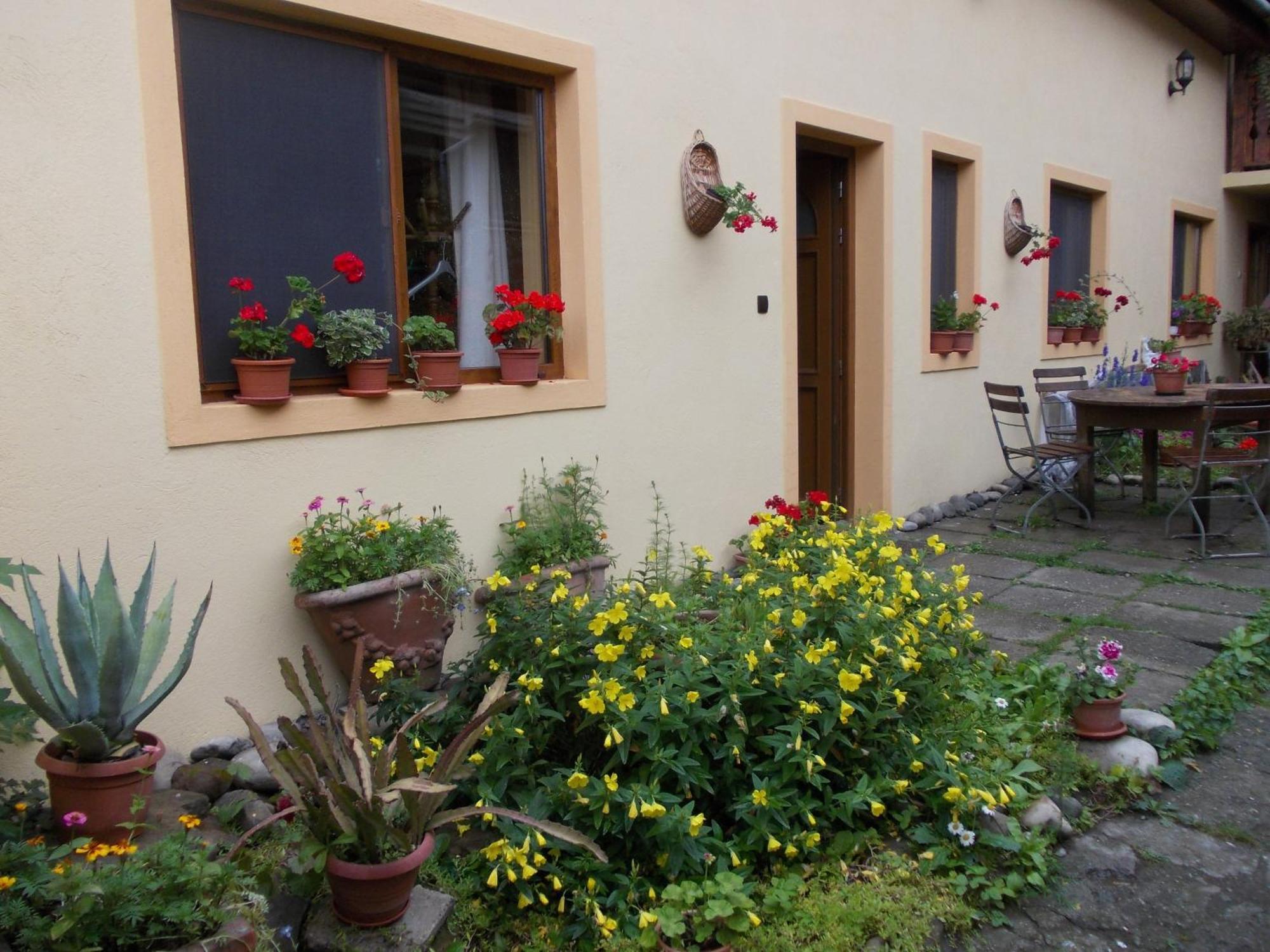 Casa Lia Hotel Sighişoara Eksteriør billede